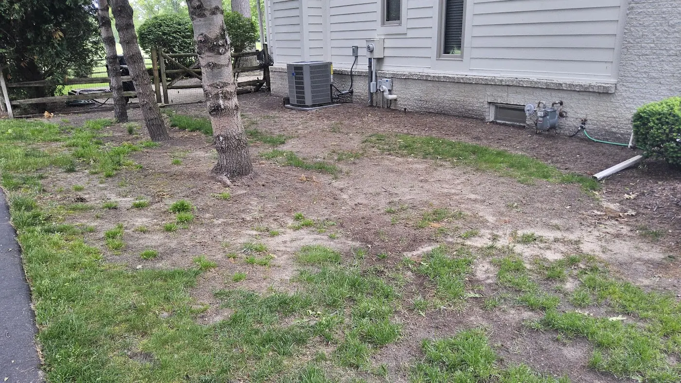Before