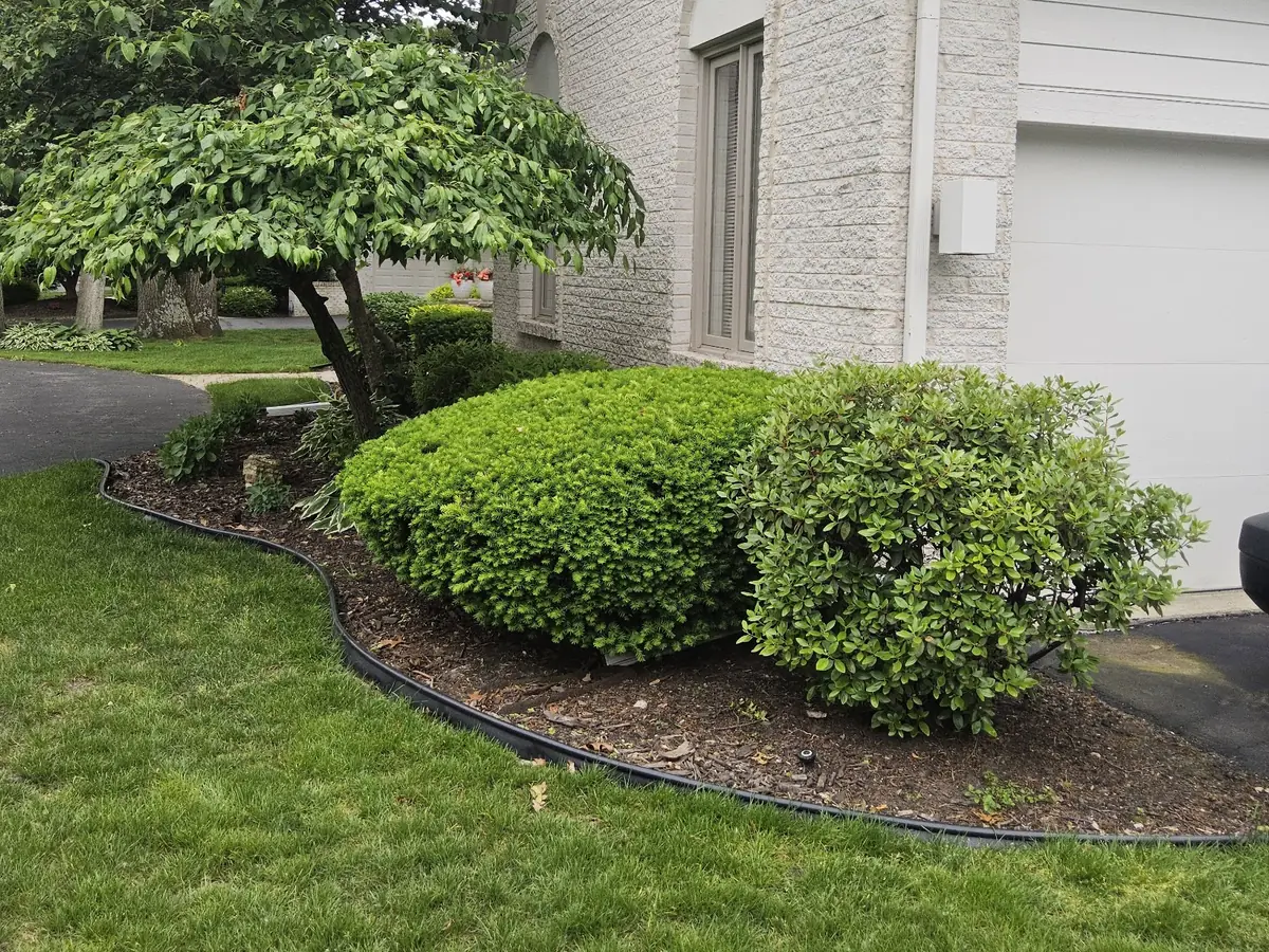 Shrub bed with black edging along a curving lawn line beside a house