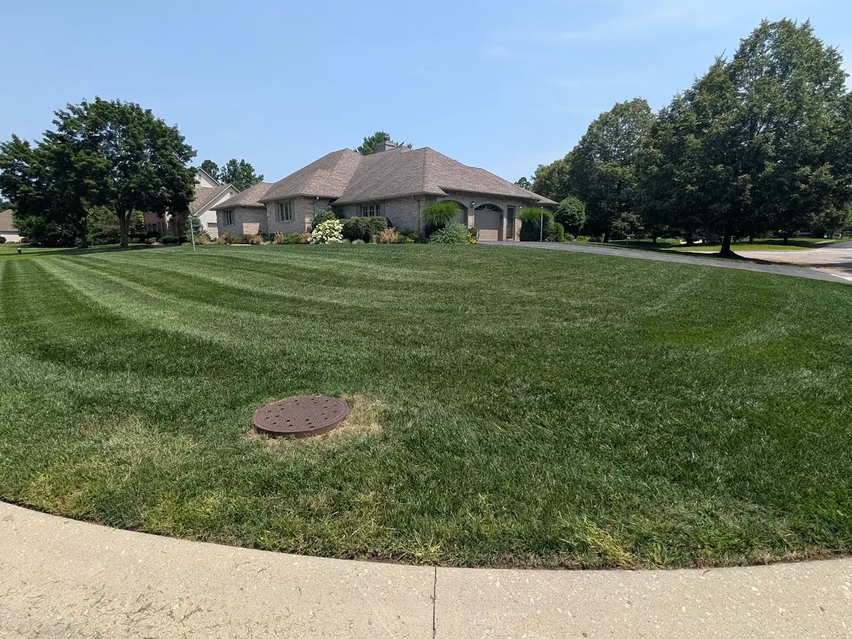 Mowed corner lawn with curved stripes and a house in the background