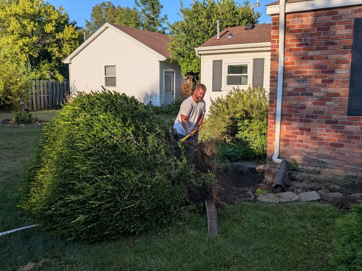 Person digging beside a large shrub next to a brick house