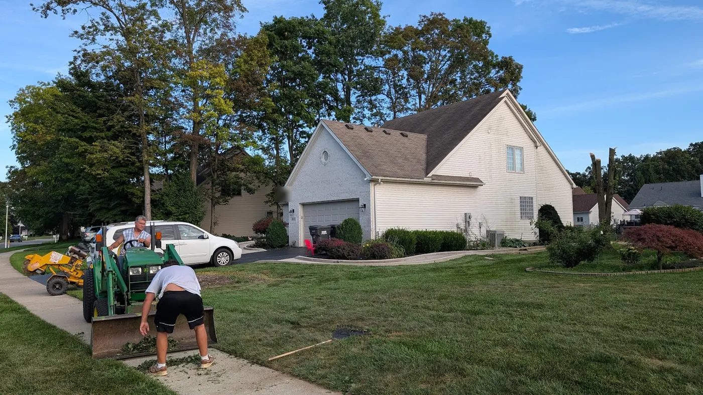 Crew with a small tractor and a stump grinder on a front lawn