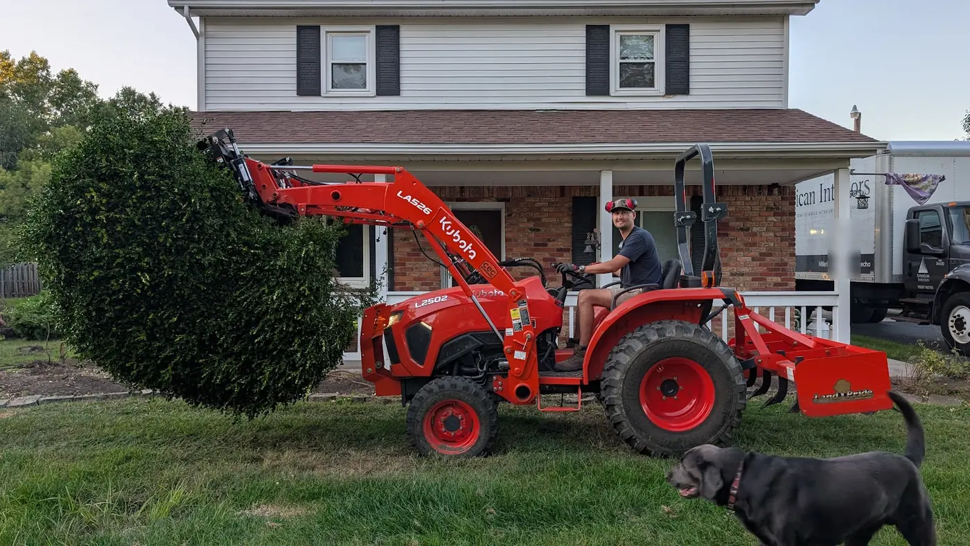 Orange tractor lifting a large shrub in front of a two-story house, with a dog in front